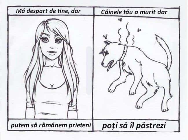 Ceva de genu’