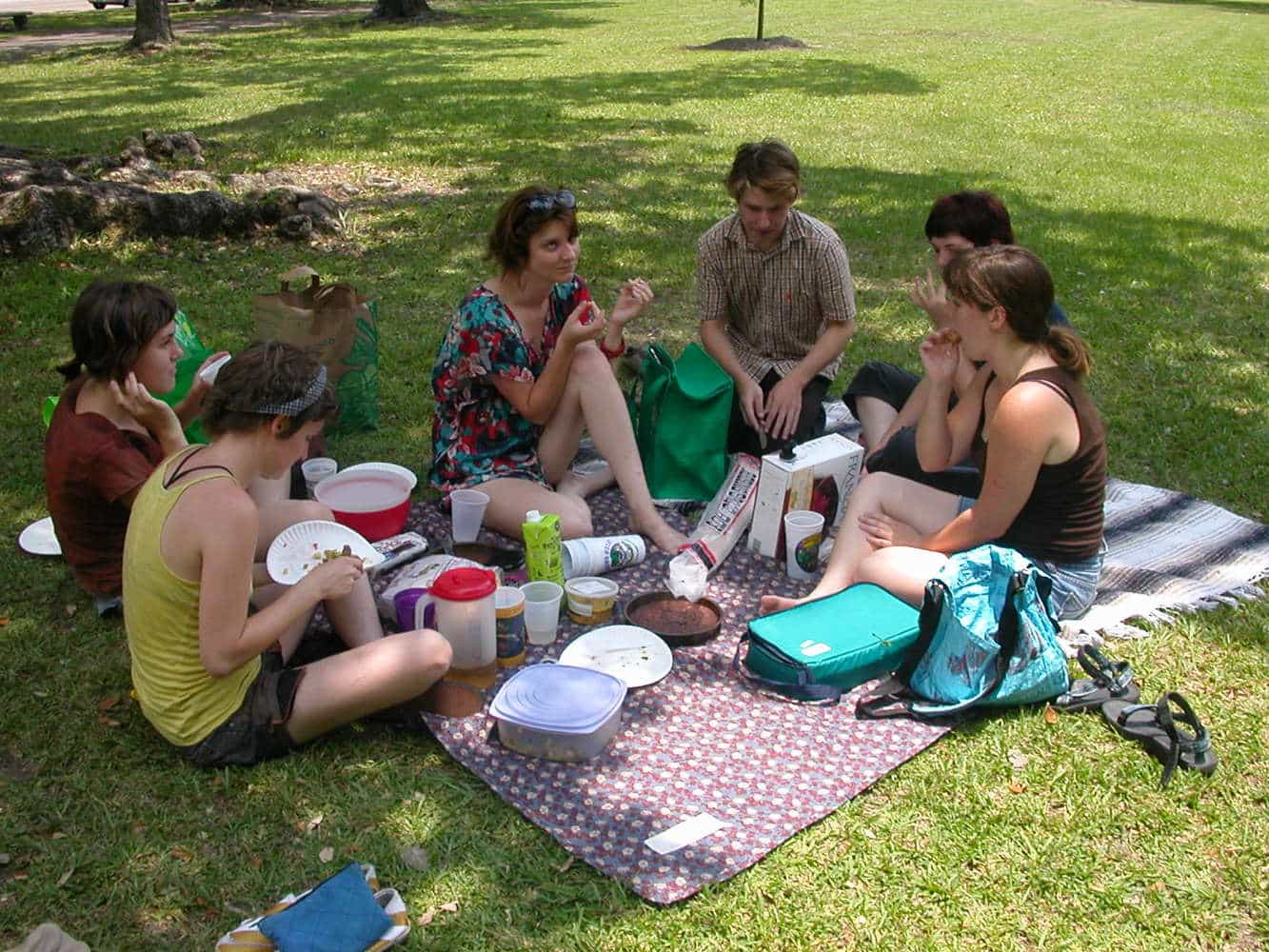 picnic