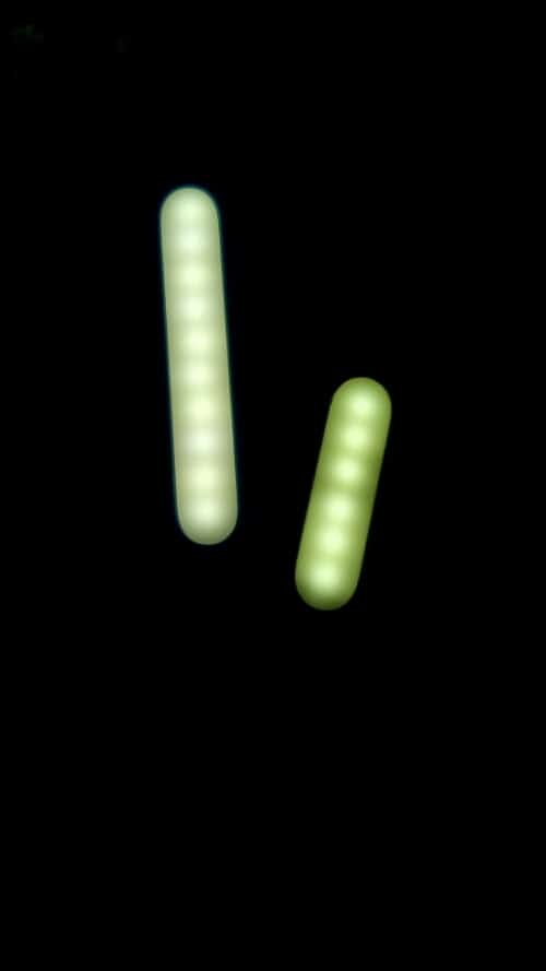 wp-1465115466569 Lumină!!
