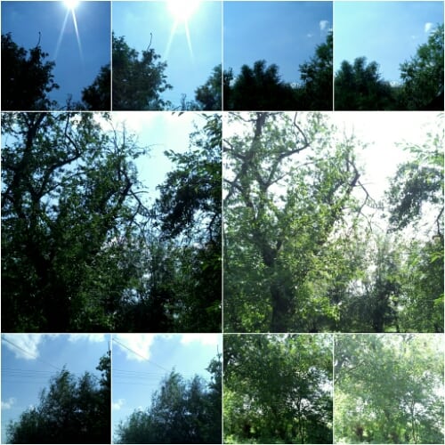 wp-1471781764566 Colaj - focus auto vs manual
