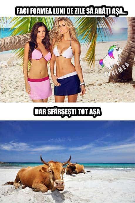 vara la mare