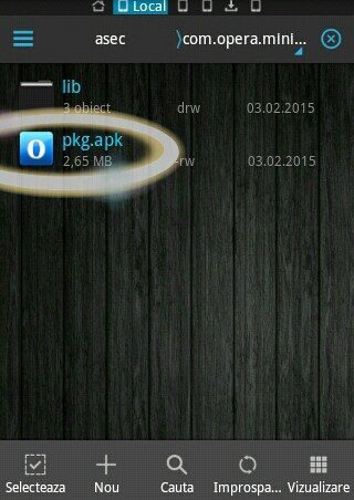 20150204192836.jpg Fișierul pkg.apk copiat din folderul aplicației