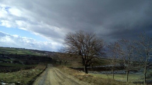 wp-1448997657372 Toamna-n iarnă